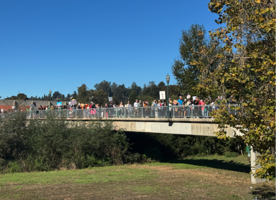 Thousands Gathered for No Kings Day in Santa Cruz